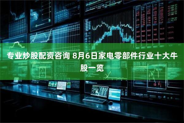 专业炒股配资咨询 8月6日家电零部件行业十大牛股一览
